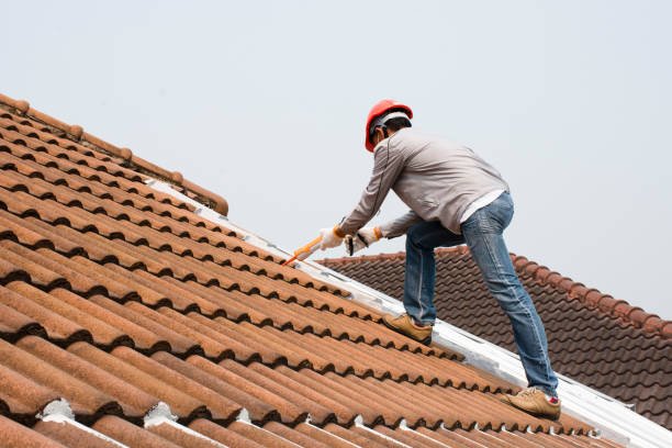 Best Roof Ventilation Installation  in Green Tree, PA